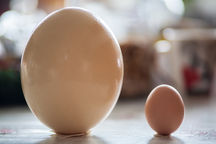 shutterstock_359116025a