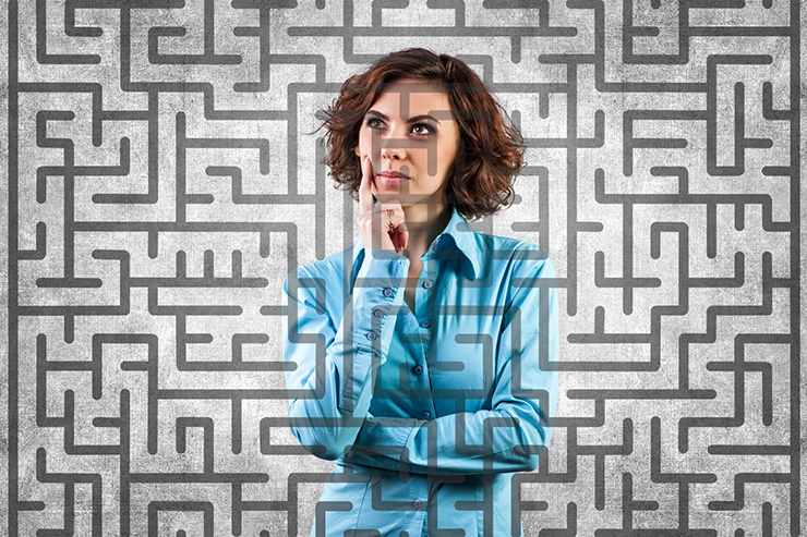 Navigating the Maze of Polycrisis in Executive Decision-Making