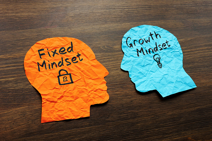 The Role of Mindset in Leadership Success The Role of Mindset in Leadership Success